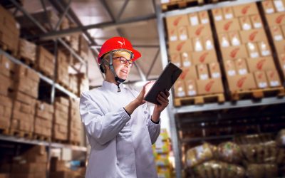 Optimizing Warehousing and Distribution for Business